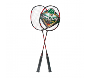 Набор для бадминтона DOUBLE FISH JINQUE 1301, 2 ракетки Набор для бадминтона DOUBLE FISH JINQUE 1301, 2 ракетки
